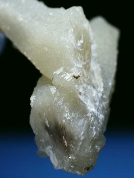 �w�f���o�[�K�C�g�C���N�H�[�c �ΐ����E�������S���Y 11.2cm130g (34)