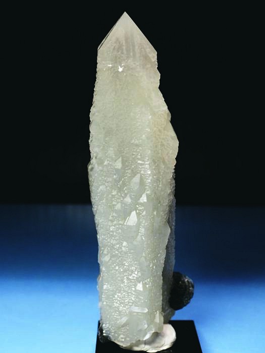 �w�f���o�[�K�C�g�C���N�H�[�c �A�C�A�����[�Y�t�E�������S���Y 12.2cm195g (36)