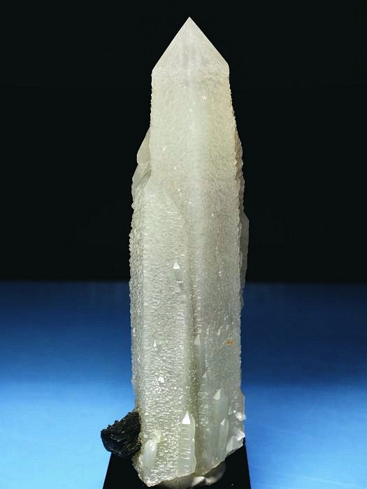 �w�f���o�[�K�C�g�C���N�H�[�c �A�C�A�����[�Y�t�E�������S���Y 12.2cm195g (36)