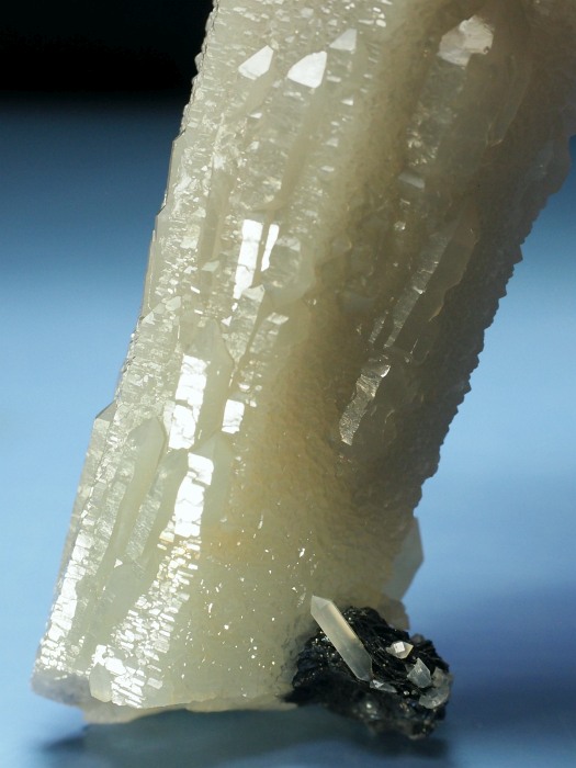 �w�f���o�[�K�C�g�C���N�H�[�c �A�C�A�����[�Y�t�E�������S���Y 11.7cm155g (37)