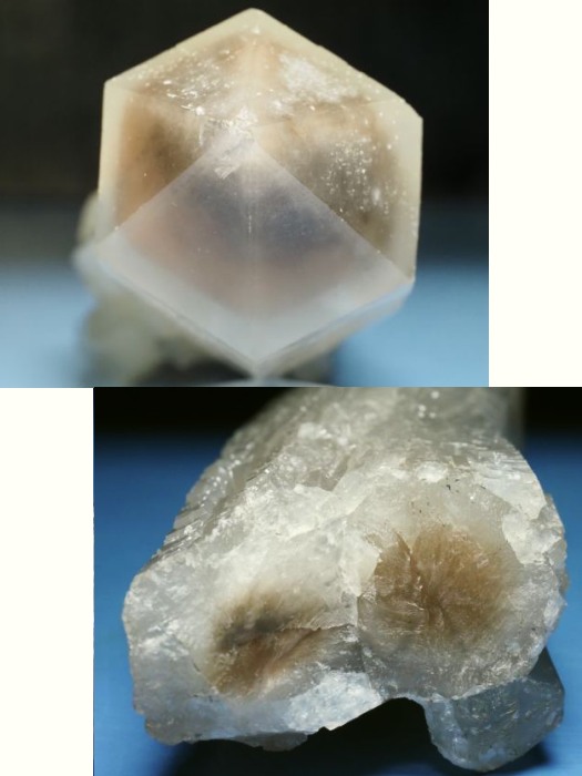 �w�f���o�[�K�C�g�C���N�H�[�c �ΐ����E�������S���Y 13cm357g (39)