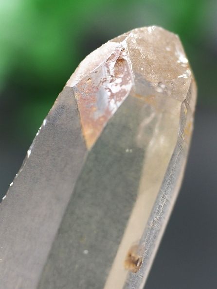 Aivi(NeBi[g)Yq} lp[ 53g (10) uWoE