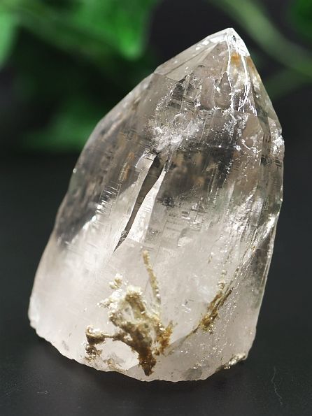Aivi(NeBi[g)Yq} lp[ 115g (14) E_