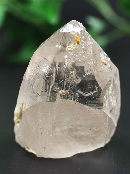 Aivi(NeBi[g)Yq} lp[ 115g (14) E_