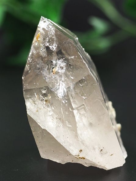 Aivi(NeBi[g)Yq} lp[ 115g (14) E_