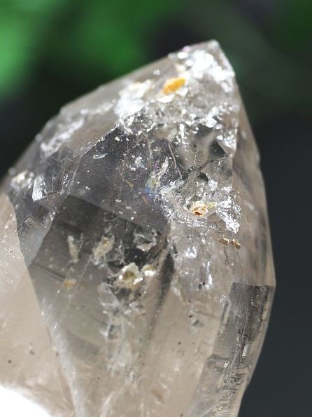 Aivi(NeBi[g)Yq} lp[ 115g (14) E_