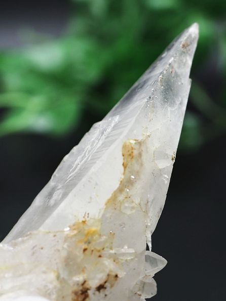 Aivi(NeBi[g)Yq} lp[ 104g (23) Ew}^Cg