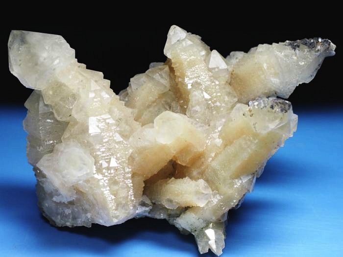 �Z�v�^�[�N�H�[�c �������S���Y 350g (70)