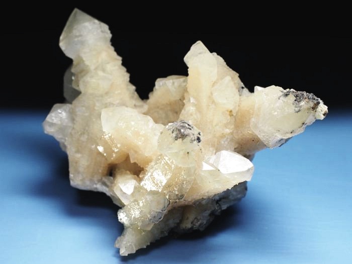 �Z�v�^�[�N�H�[�c �������S���Y 350g (70)