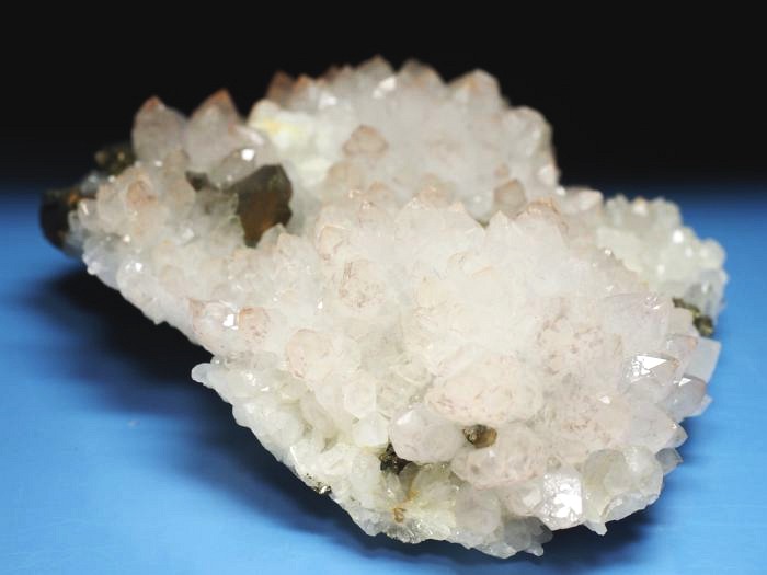 ���b�h�N�H�[�c �������S���Y 285g (74)