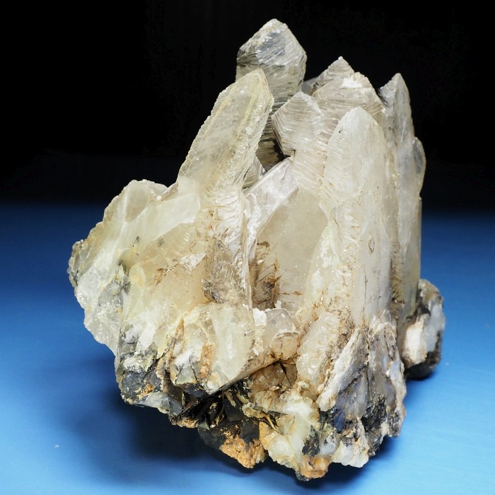 ����������(�O���X�C���^�[�t�F�����X�N�H�[�c) �������S���Y 690g (78)