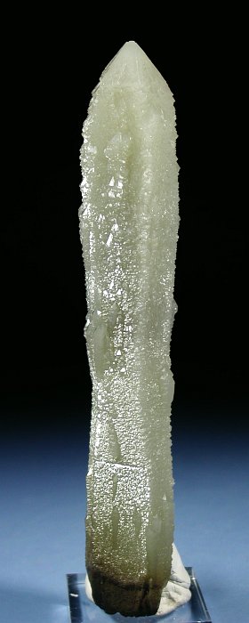 wfo[KCgCNH[c ΐES 16cm180g (8)