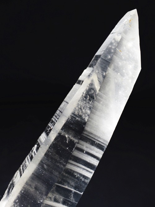 ���[�U�[���������� �������� (114)85mm