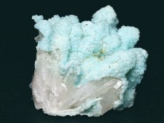 �w�~�����t�@�C�g<br> �ًɍz (1)