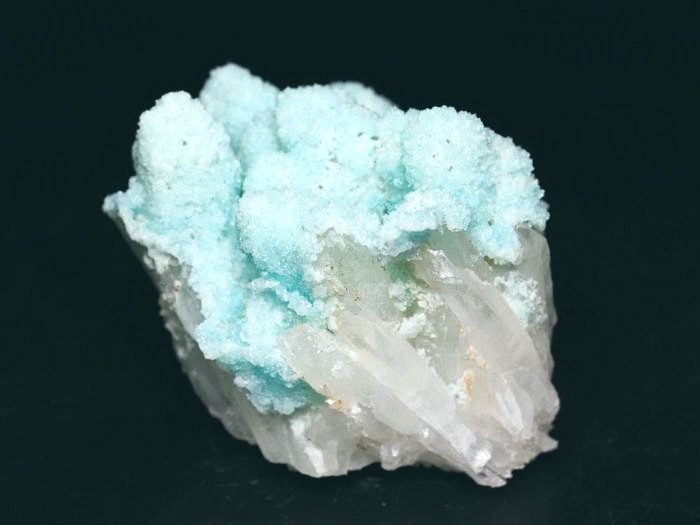 �w�~�����t�@�C�g �ًɍz (1)