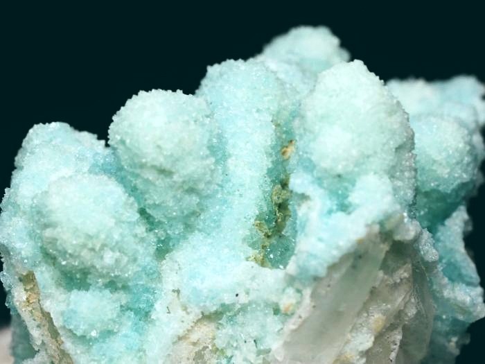 �w�~�����t�@�C�g �ًɍz (1)