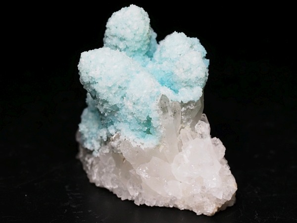 �w�~�����t�@�C�g �ًɍz (3)