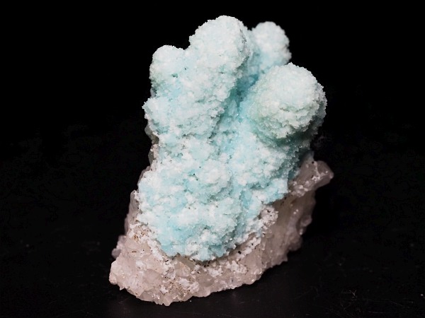 �w�~�����t�@�C�g �ًɍz (3)