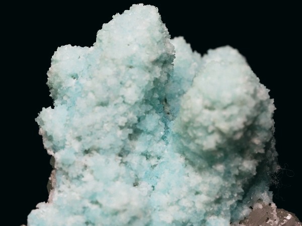 �w�~�����t�@�C�g �ًɍz (3)