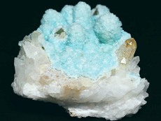 �w�~�����t�@�C�g<br> �ًɍz (5)