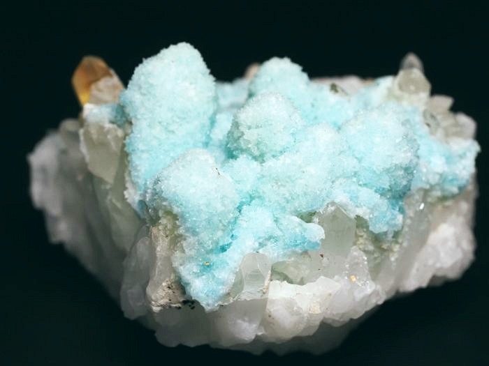 �w�~�����t�@�C�g �ًɍz (5)