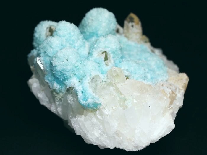 �w�~�����t�@�C�g �ًɍz (5)