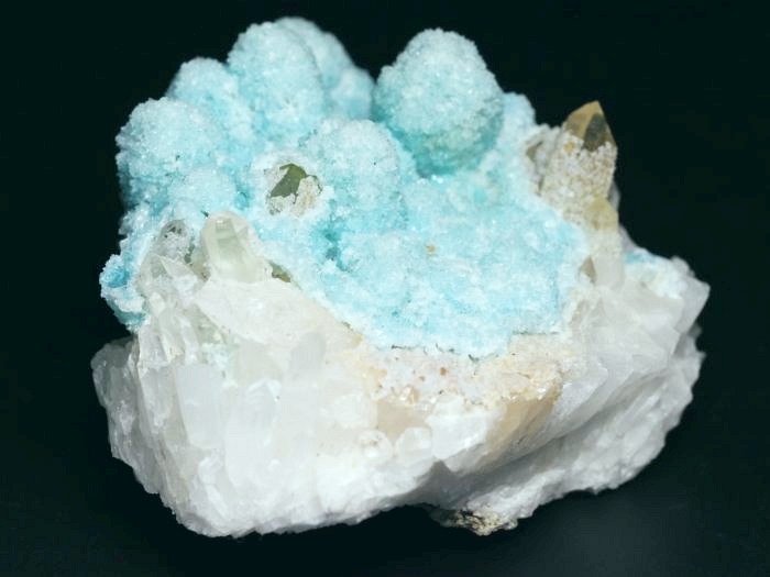 �w�~�����t�@�C�g �ًɍz (5)