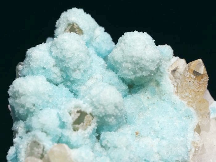 �w�~�����t�@�C�g �ًɍz (5)