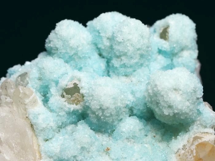 �w�~�����t�@�C�g �ًɍz (5)