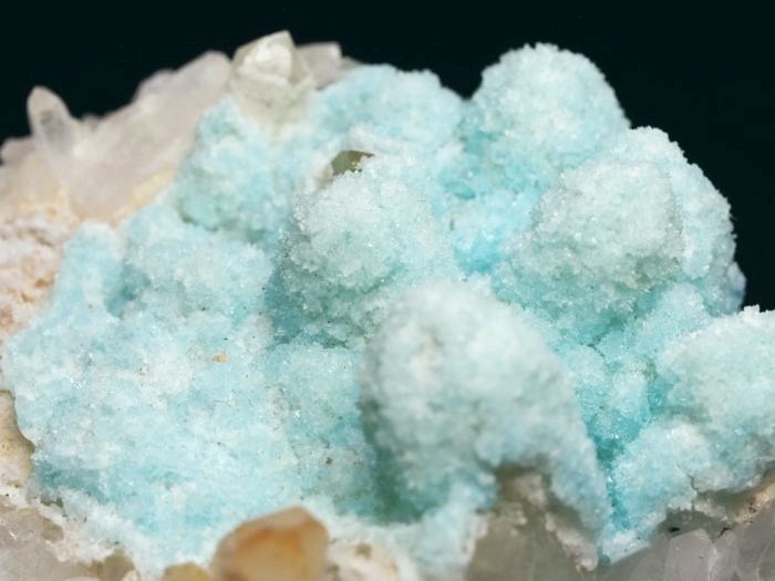 �w�~�����t�@�C�g �ًɍz (5)