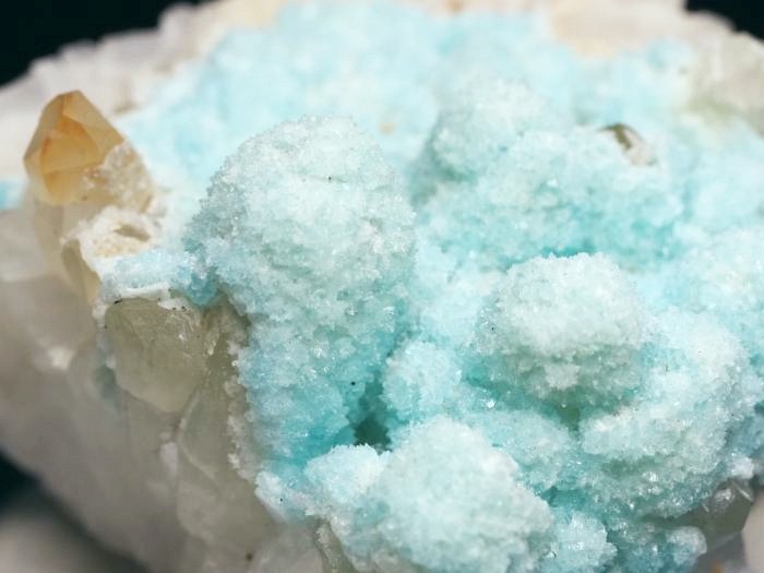 �w�~�����t�@�C�g �ًɍz (5)