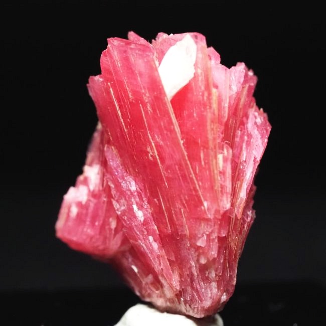 ���[�h�i�C�g�������� �΂�P�� 22x14x25(mm) (187)