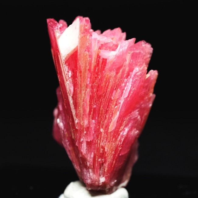 ���[�h�i�C�g�������� �΂�P�� 22x14x25(mm) (187)