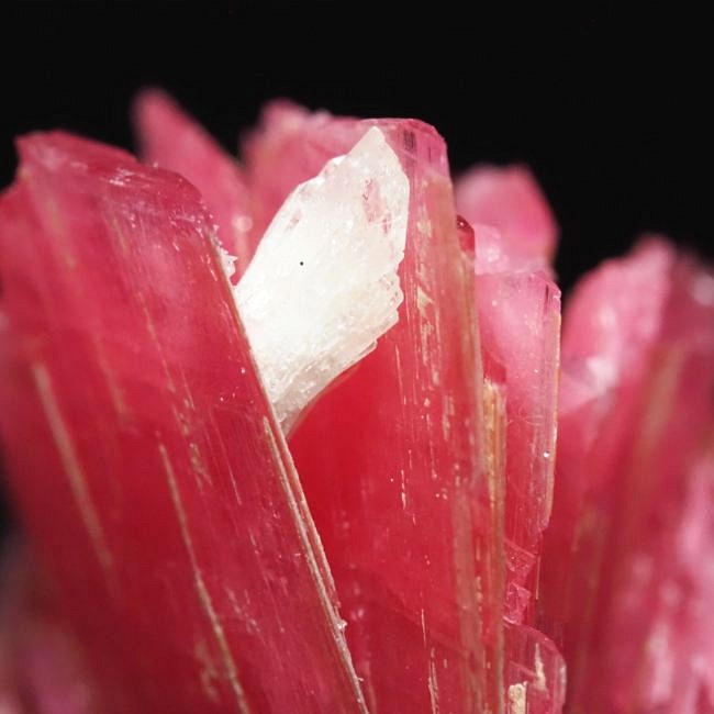 ���[�h�i�C�g�������� �΂�P�� 22x14x25(mm) (187)