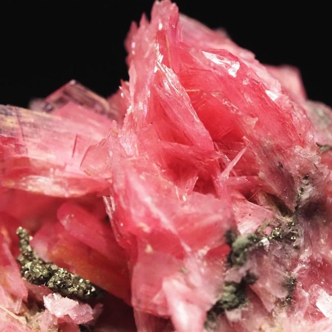 ���[�h�i�C�g�������� �΂�P�� 26x21x20(mm) (188)