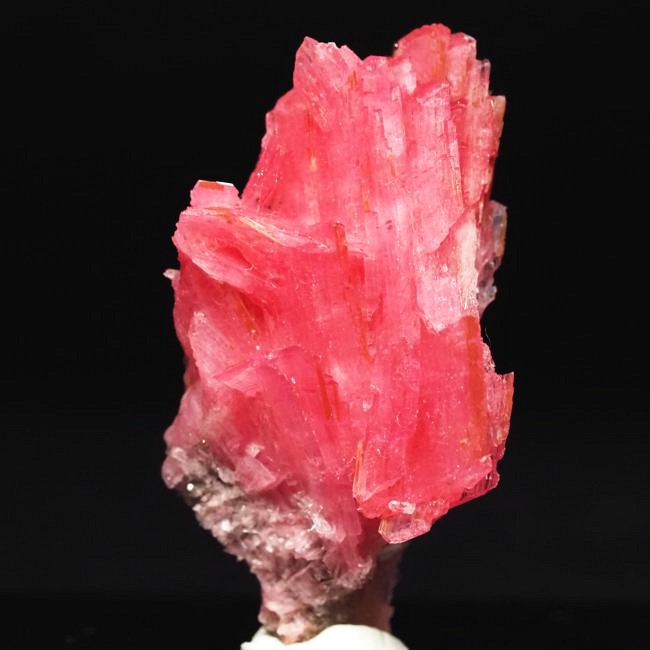 ���[�h�i�C�g�������� �΂�P�� 19x14x35(mm) (189)