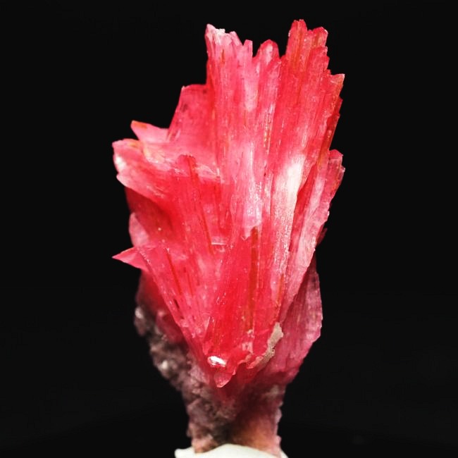 ���[�h�i�C�g�������� �΂�P�� 19x14x35(mm) (189)