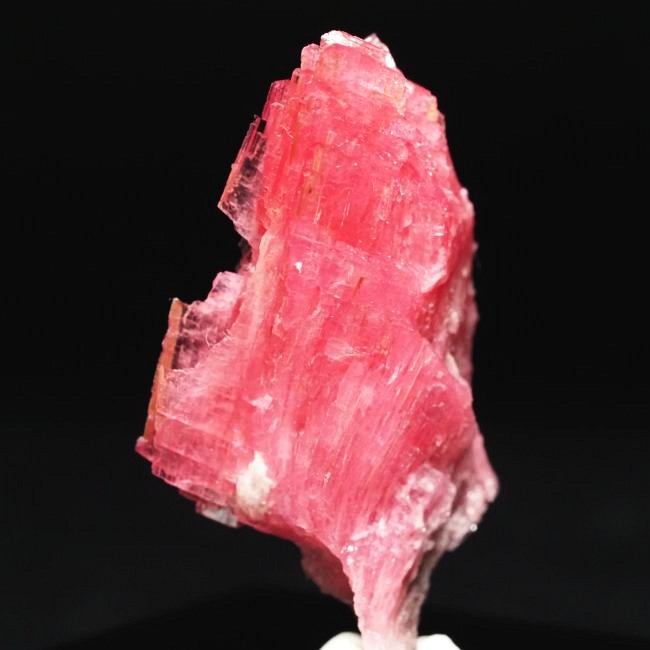 ���[�h�i�C�g�������� �΂�P�� 19x14x35(mm) (189)