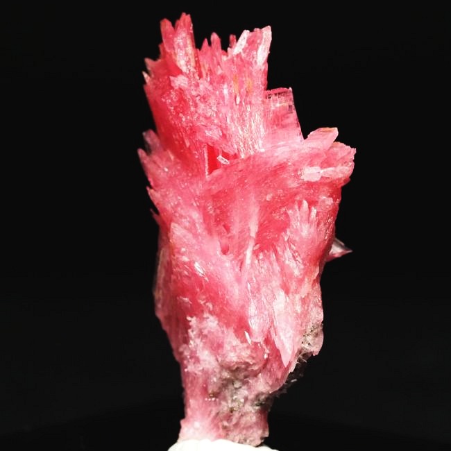 ���[�h�i�C�g�������� �΂�P�� 19x14x35(mm) (189)