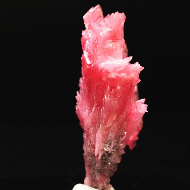 ���[�h�i�C�g�������� �΂�P�� 19x14x35(mm) (189)