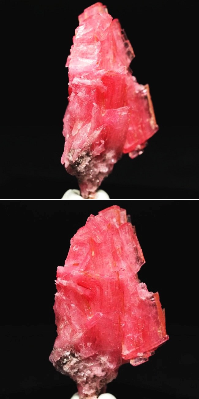 ���[�h�i�C�g�������� �΂�P�� 19x14x35(mm) (189)