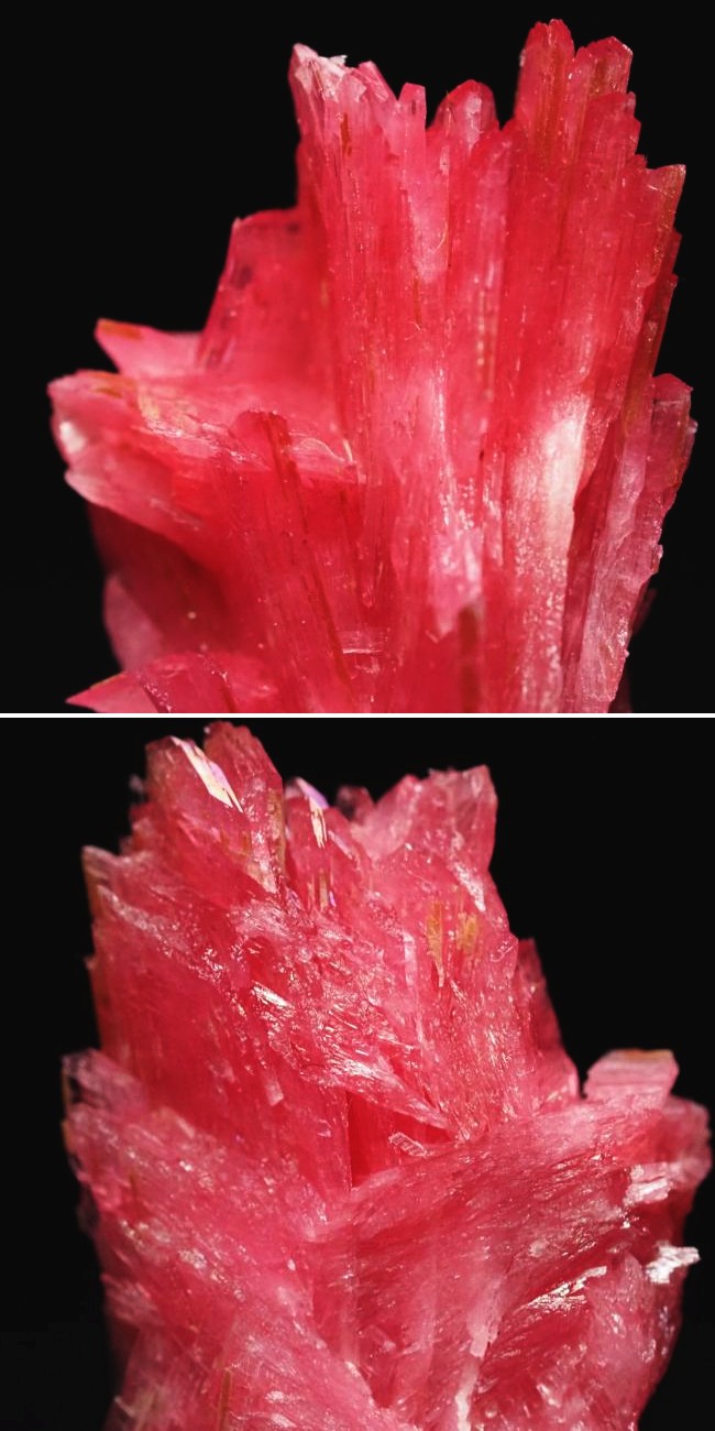 ���[�h�i�C�g�������� �΂�P�� 19x14x35(mm) (189)