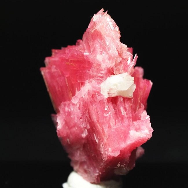 ���[�h�i�C�g�������� �΂�P�� 24x17x29(mm) (190)