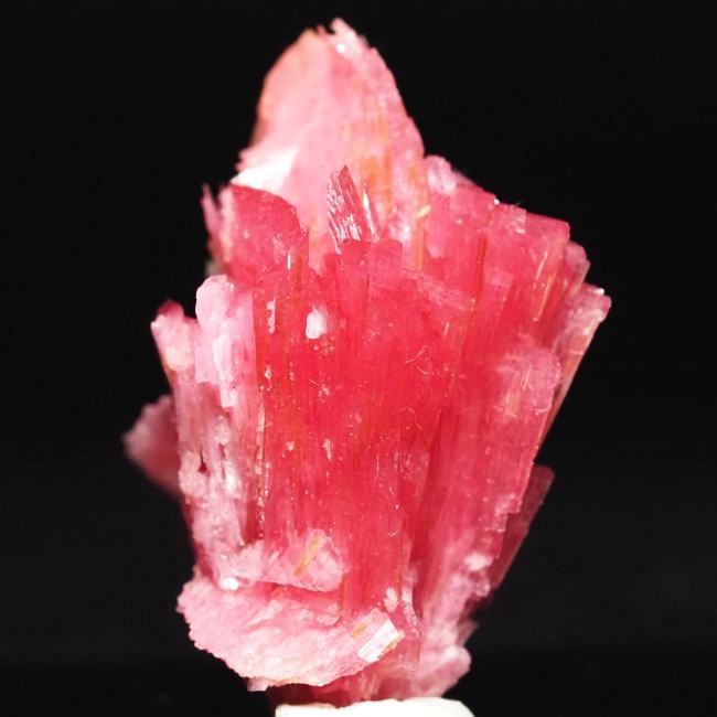 ���[�h�i�C�g�������� �΂�P�� 24x17x29(mm) (190)