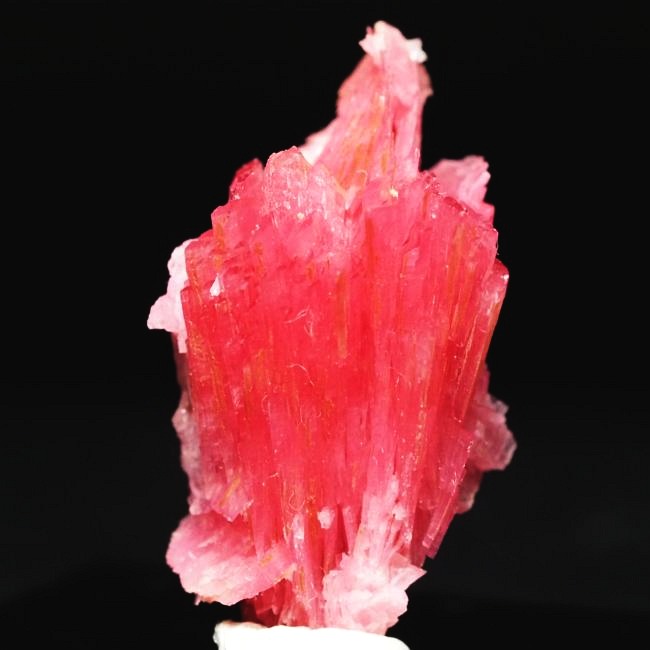 ���[�h�i�C�g�������� �΂�P�� 24x17x29(mm) (190)