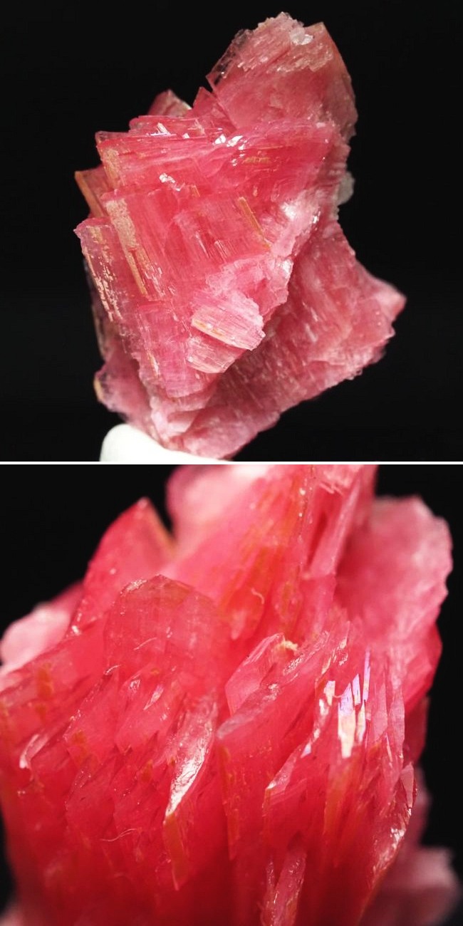 ���[�h�i�C�g�������� �΂�P�� 24x17x29(mm) (190)