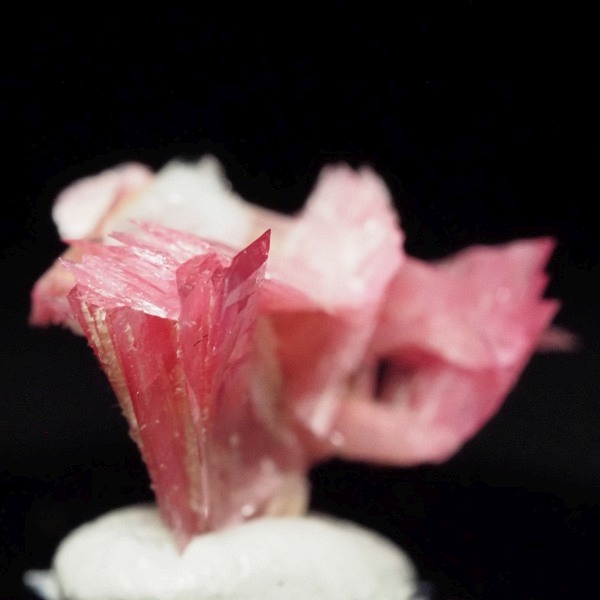 ���[�h�i�C�g�������� �΂�P�� 16x12x10(mm) (240)