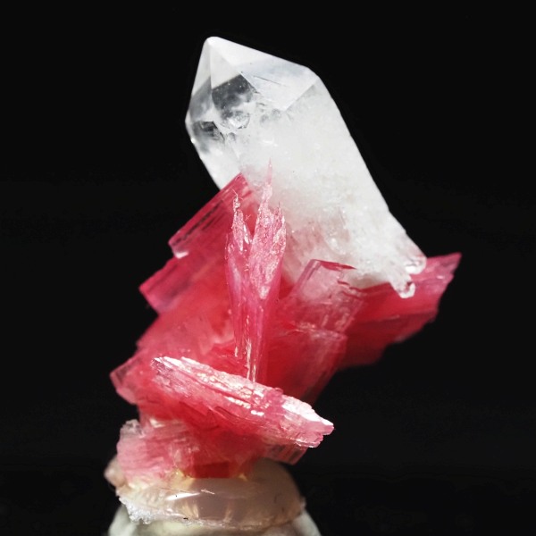 ���[�h�i�C�g�������� �΂�P�� 15.5x13.5x18(mm) (250)