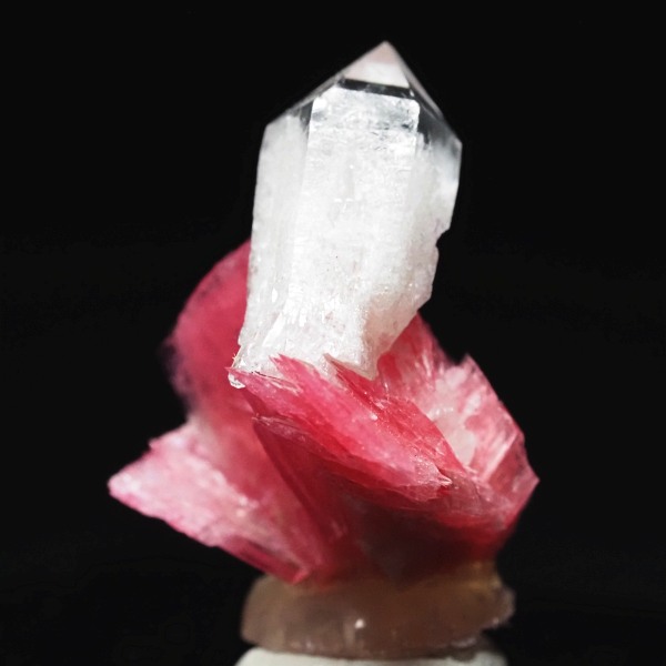 ���[�h�i�C�g�������� �΂�P�� 15.5x13.5x18(mm) (250)