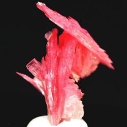 ���[�h�i�C�g��������<br> �΂�P��<br> 18x15x23(mm) (272)